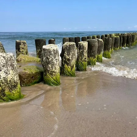 Mit Blick Auf Wasser By Interhome * Sarbinowo