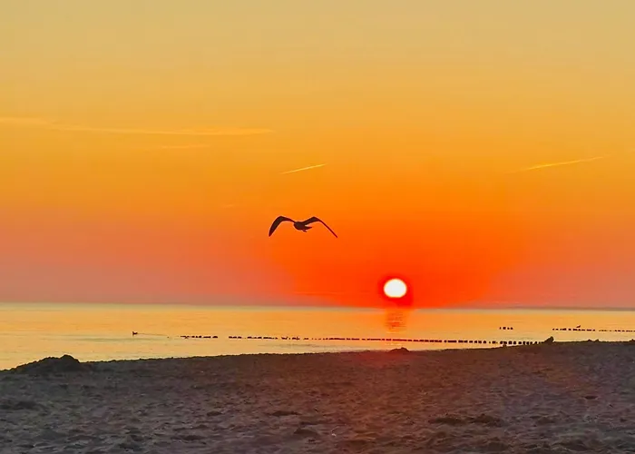 Appartement Mit Blick Auf Wasser By Interhome