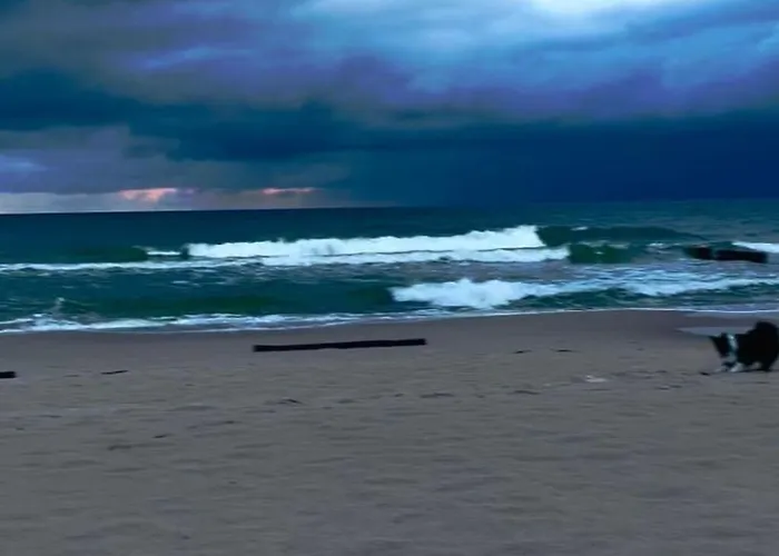 Appartement Mit Blick Auf Wasser By Interhome *