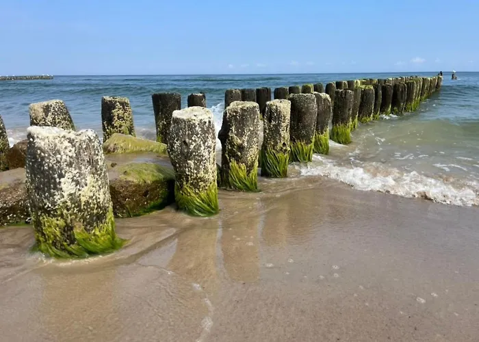 Mit Blick Auf Wasser By Interhome * Sarbinowo