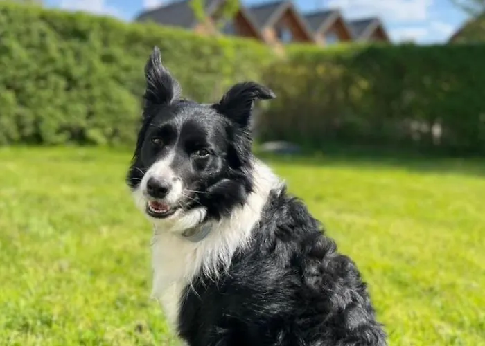 Appartement Mit Blick Auf Wasser By Interhome